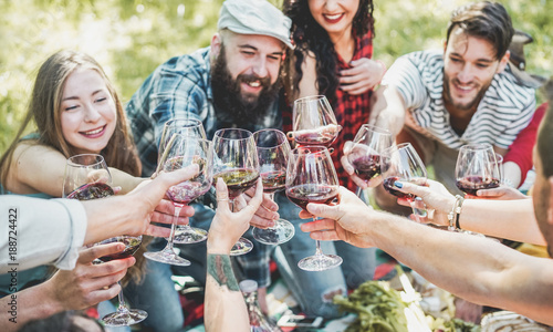 Plakat Szczęśliwi przyjaciele rozwesela z czerwonym winem przy pyknicznym grillem plenerowym