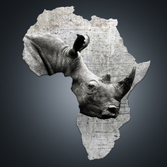 the continent of africa with a rhino. creating awareness on poaching. ceratotherium simum