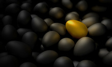 A Golden Egg Lying Among The Black Eggs. 3d Illustration