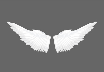 Vector realistic white angel wings