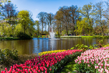 Keukenhof Park In Netherlands