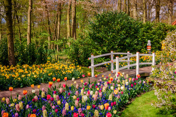 Beautiful garden. Park in The Spring. Spring landscape