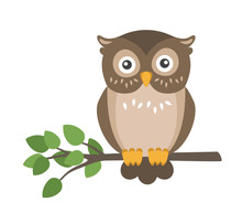 Cartoon Owl II Free Stock Photo Public Domain Pictures Cartoon Owl II Free Stock Photo Public Domain Pictures