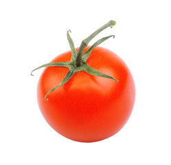 one whole ripe red juicy shiny tomato with green sprig