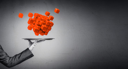 Wall Mural - Hand of waiter presenting cubes on tray.