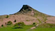 View Of Roseberry Topping; Roseberry Topping & Bluebells; Newton Wood, Great Ayton