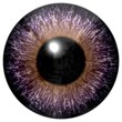 © Michal - Beautiful colorful scary eye texture