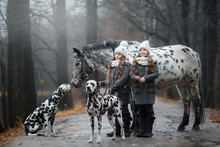 Twins Girls Portrait With Appaloosa Horse And Dalmatian Dogs 