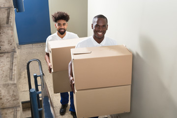 Wall Mural - Portrait Of Two Movers Holding Cardboard Boxes