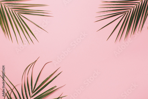 Stampe Palm leaves on a pink background. Minimal and flat lay.
