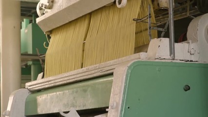 Wall Mural - equipment for pasta or noodle production