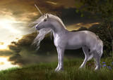 Fototapeta Konie - Enchanting White Unicorn Watching a Sunset