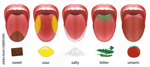 Fotomural Tongue with five taste areas sweet, sour, salty, bitter and umami represented by chocolate, lemon, salt, herbs and tomatoe