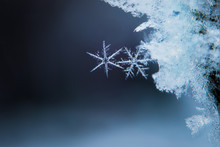 Two Snowflakes, Macro, Winter Background