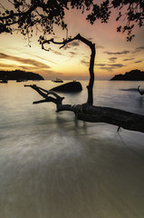 Wall Mural - idyllic tropical scenery during golden sunset background, soft wave hitting rock on the sandy beach