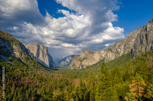 Yosemite National Park Valley summer landscape Poster