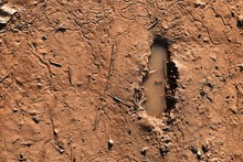 Human Footprint In Brown Mud Soil For Background