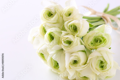 白バックに白い花のブーケ Foto De Stock Adobe Stock