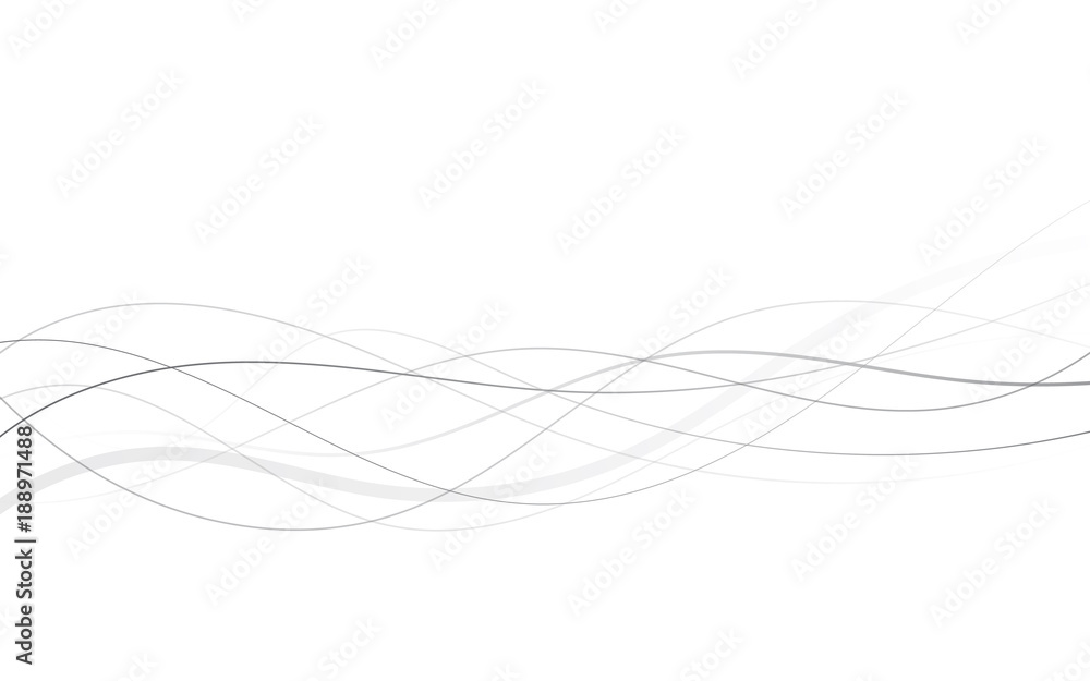 Abstract curved black lines on white - obrazy, fototapety, plakaty 