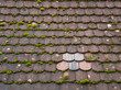 Old mossy roof tiles with a small area of five newer tiles