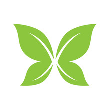Green Butterfly Logo Vector Design
