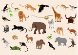 Fototapeta Konie - Big set of exotic animals and birds living in savannah, tropical forest,  jungle isolated on white  background. Collection of cute cartoon characters.  vector illustration.