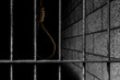 Old prison bars cell lock background dark black and light with rope noose inside, concept of justice