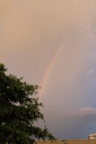 Fototapeta Tęcza - Rainbows