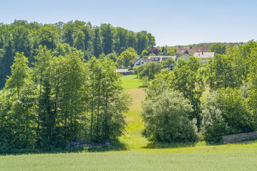 Wall Mural - Schleierhof in Hohenlohe