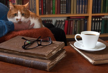 Sweet Moments Of Relaxation With Books And A Cup Of Coffee. A Man In An Armchair With A Cat. Vintage Books, Glasses, Library.