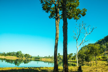 Canvas Print - Lake view in Chiangmai province