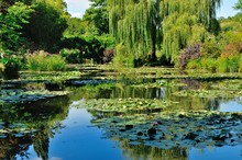 Giardini Di Casa Monet A Giverny, Normandia