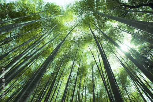piekny-abstrakt-arashiyama-bambusowy-las-podczas-lato-czasu-w-kyoto-japonia
