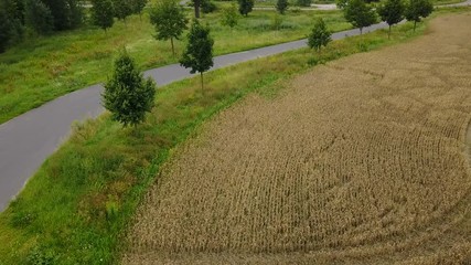 Wall Mural - Aerial view from street next to field