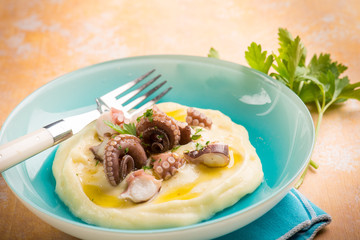 Poster - octopus with potato cream,selective focus