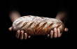 A loaf of freshly baked bread in the hands of a baker on a black background.