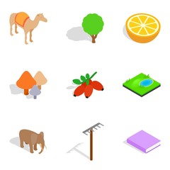 Wall Mural - Animate icons set, isometric style
