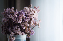 Dry Purple Flowers