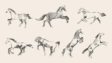 Set Hand Drawn Horses Vector Illustration Sketch