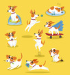 © Happypictures - Cute jack russell terrier set, funny pet dog character in different situations cartoon vector Illustrations