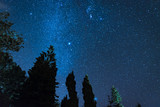 Fototapeta Fototapety na sufit - The Milky Way and some trees. In the mountains