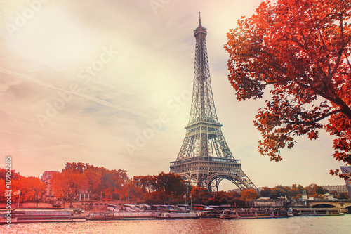 Obraz na plátne  Paris, the Eiffel Tower. Selective focus.