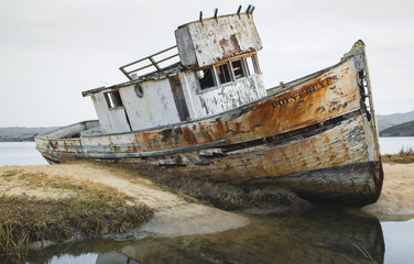 Sticker - Point Reyes Shipwreck 