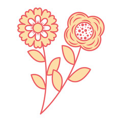 two flowers decorative spring image vector illustration