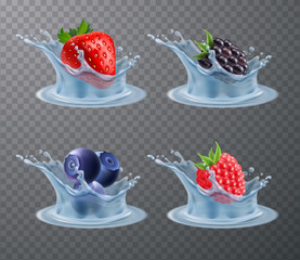 Wall Mural - Berries Water Splashes Realistic Set