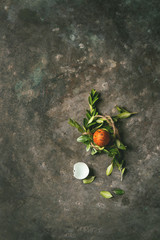 Wall Mural - Easter greeting card with colored orange quail egg in green nest and green branches over old metal background. Top view, space. Toned image