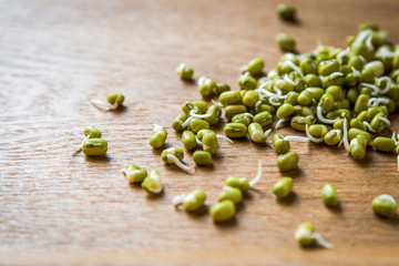 Sprouted organic grains of mung beans