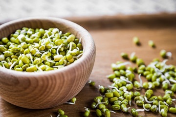 Sprouted organic grains of mung beans