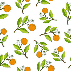 Poster - Fresh citrus seamless pattern