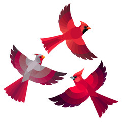 Wall Mural - Stylized Birds - Northern, Desert and Vermilion Cardinals